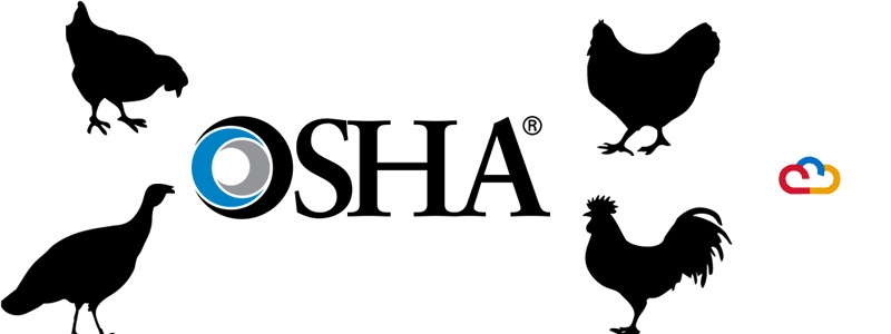 Feds Seek Warrant to Conduct Poultry Plant