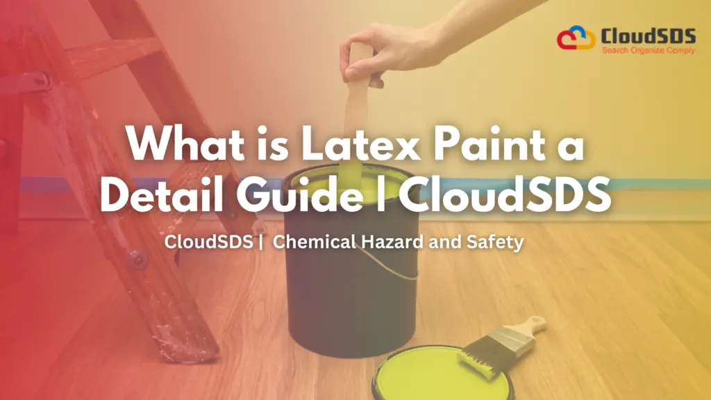 What is Latex Paint a Detail Guide | CloudSDS