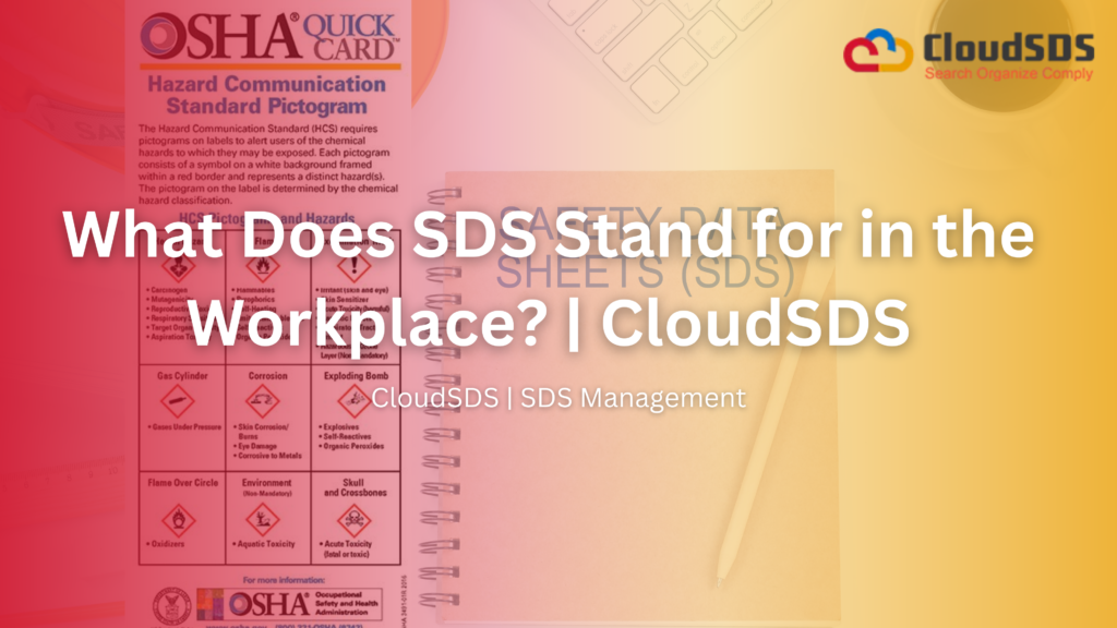What Does SDS Stand for in the Workplace?