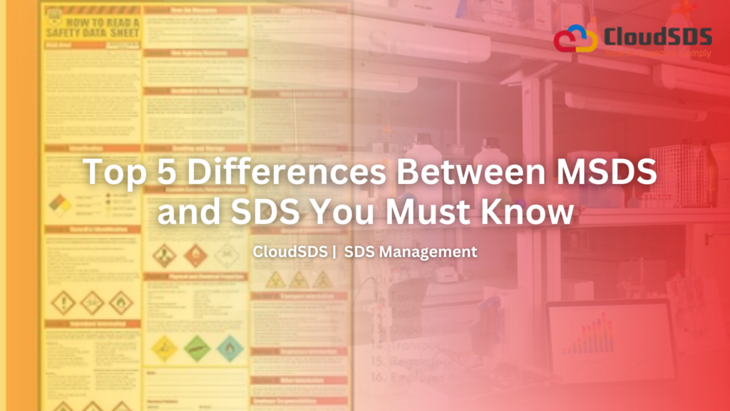 Top 5 Differences Between MSDS and SDS You Must Know