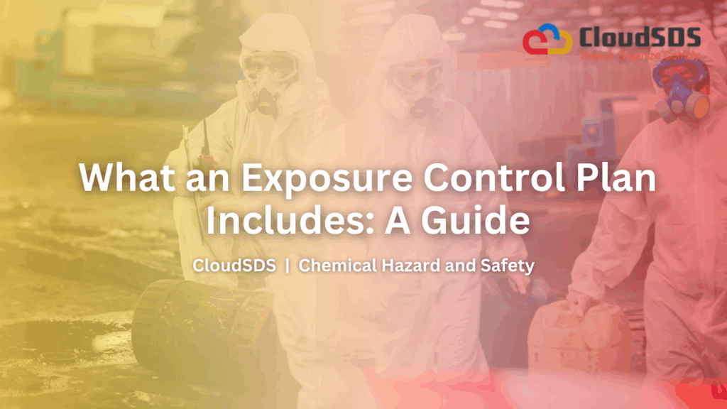 What an Exposure Control Plan Includes A Guide